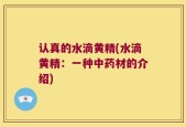 认真的水滴黄精(水滴黄精：一种中药材的介绍)