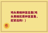 鸡头黄精种苗出售(鸡头黄精优质种苗直售，赶紧选购！)