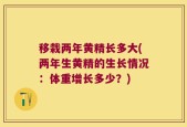 移栽两年黄精长多大(两年生黄精的生长情况：体重增长多少？)