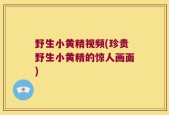 野生小黄精视频(珍贵野生小黄精的惊人画面)