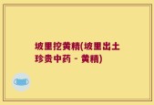 坡里挖黄精(坡里出土珍贵中药 - 黄精)