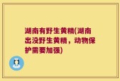 湖南有野生黄精(湖南出没野生黄精，动物保护需要加强)