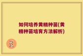 如何培养黄精种苗(黄精种苗培育方法解析)