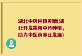 湖北中药种植黄精(湖北开发黄精中药种植，助力中医药事业发展)