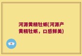 河源黄精牡蛎(河源产黄精牡蛎，口感鲜美)
