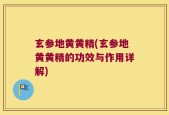 玄参地黄黄精(玄参地黄黄精的功效与作用详解)