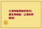 江津种植黄精的地方(重生黄精园：江津的种植地)