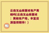云南文山麻栗坡有产黄精吗(云南文山麻栗坡：黄精有产地，丰富资源值得期待！)