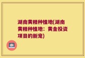 湖南黄精种植地(湖南黄精种植地：黄金投资项目的新宠)