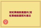 双蛇黄精胶囊图片(双蛇黄精胶囊照片展示
