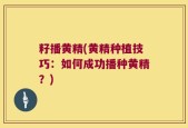籽播黄精(黄精种植技巧：如何成功播种黄精？)