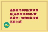桑椹西洋参枸杞黄芪黄精(桑椹西洋参枸杞黄芪黄精：植物精华保健五脏六腑)