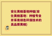 安化黄精基地种植(安化黄精基地：种植专业并采用绿色环保技术的高品质黄精)