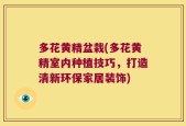 多花黄精盆栽(多花黄精室内种植技巧，打造清新环保家居装饰)