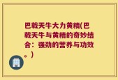 巴戟天牛大力黄精(巴戟天牛与黄精的奇妙结合：强劲的营养与功效。)