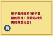 栀子黄精图片(栀子黄精的照片：欣赏这对完美的黄金组合)
