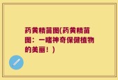 药黄精苗图(药黄精苗图：一睹神奇保健植物的美丽！)