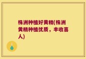 株洲种植好黄精(株洲黄精种植优质，丰收喜人)
