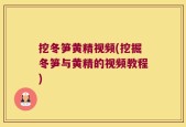 挖冬笋黄精视频(挖掘冬笋与黄精的视频教程)