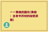 一一黄精的图片(黄精：古老中药材的秘密武器)