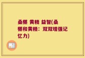桑椹 黄精 益智(桑椹和黄精：双双增强记忆力)