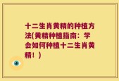 十二生肖黄精的种植方法(黄精种植指南：学会如何种植十二生肖黄精！)