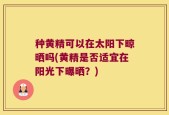 种黄精可以在太阳下晾晒吗(黄精是否适宜在阳光下曝晒？)