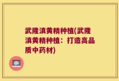 武隆滇黄精种植(武隆滇黄精种植：打造高品质中药材)