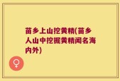 苗乡上山挖黄精(苗乡人山中挖掘黄精闻名海内外)
