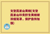 文登昆嵛山黄精(文登昆嵛山珍贵野生黄精被浓烟笼罩，保护亟待加强)