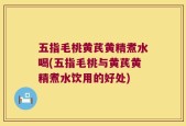 五指毛桃黄芪黄精煮水喝(五指毛桃与黄芪黄精煮水饮用的好处)