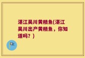 湛江吴川黄精鱼(湛江吴川出产黄精鱼，你知道吗？)