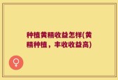 种植黄精收益怎样(黄精种植，丰收收益高)