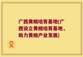 广西黄精培育基地(广西设立黄精培育基地，助力黄精产业发展)