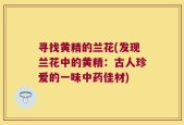 寻找黄精的兰花(发现兰花中的黄精：古人珍爱的一味中药佳材)