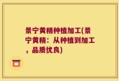 景宁黄精种植加工(景宁黄精：从种植到加工，品质优良)