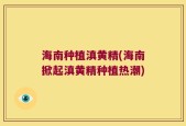 海南种植滇黄精(海南掀起滇黄精种植热潮)