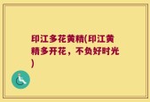 印江多花黄精(印江黄精多开花，不负好时光)