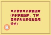 中药黄精中药黄精图片(药材黄精图片，了解黄精的形态特征和品质特点)