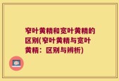 窄叶黄精和宽叶黄精的区别(窄叶黄精与宽叶黄精：区别与辨析)