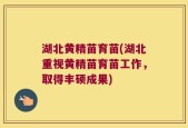 湖北黄精苗育苗(湖北重视黄精苗育苗工作，取得丰硕成果)