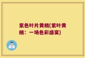 紫色叶片黄精(紫叶黄精：一场色彩盛宴)