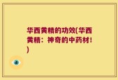 华西黄精的功效(华西黄精：神奇的中药材！)