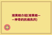 湘黄精介绍(湘黄精——神奇的抗病良药)
