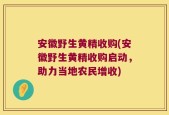 安徽野生黄精收购(安徽野生黄精收购启动，助力当地农民增收)