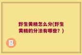 野生黄精怎么分(野生黄精的分法有哪些？)
