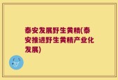 泰安发展野生黄精(泰安推进野生黄精产业化发展)