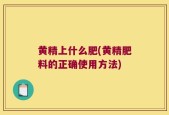 黄精上什么肥(黄精肥料的正确使用方法)