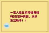 一家人能在家种植黄精吗(在家种黄精，快乐生活助手！)