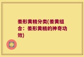 姜形黄精分类(姜黄组合：姜形黄精的神奇功效)